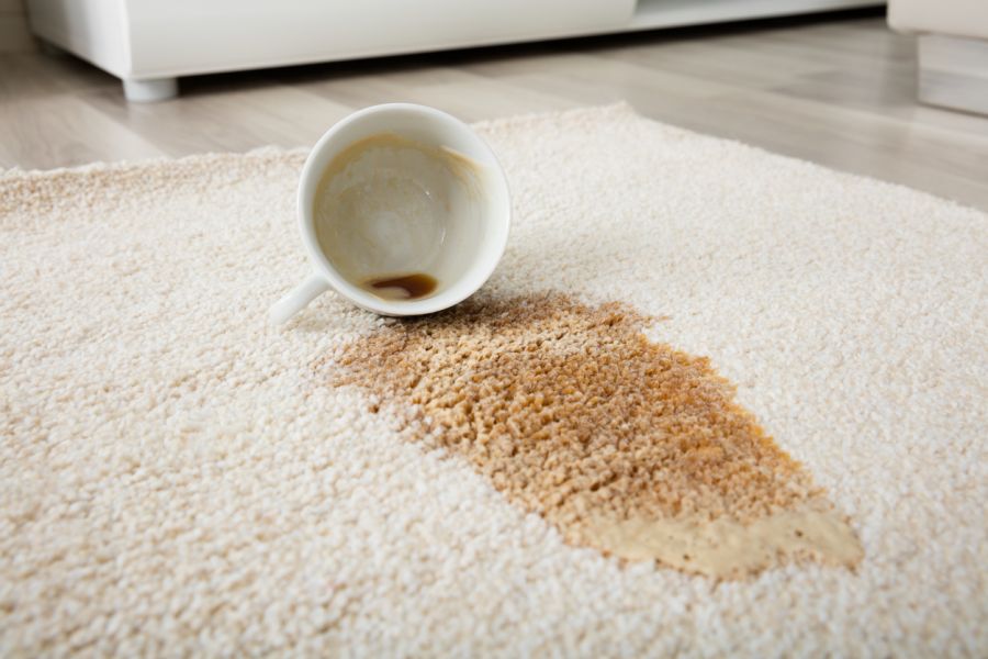 Carpet Stain Removal by Premium Rug Cleaners