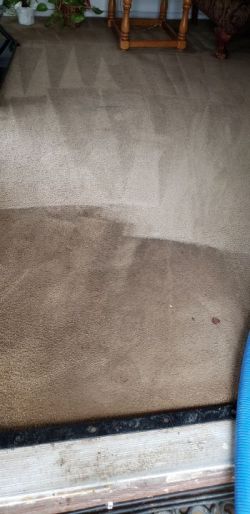 Carpet Cleaning in Forest Hill, Texas by Premium Rug Cleaners