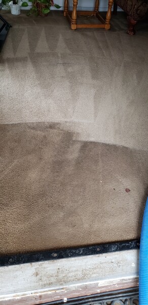 Before & After Carpet Cleaning in Fort Worth, TX (1)